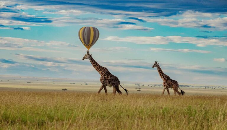 tanzania-wild-sky